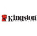 Компания Kingston Digital приступила к выпуску новых USB-накопителей с высокой степенью защиты данных